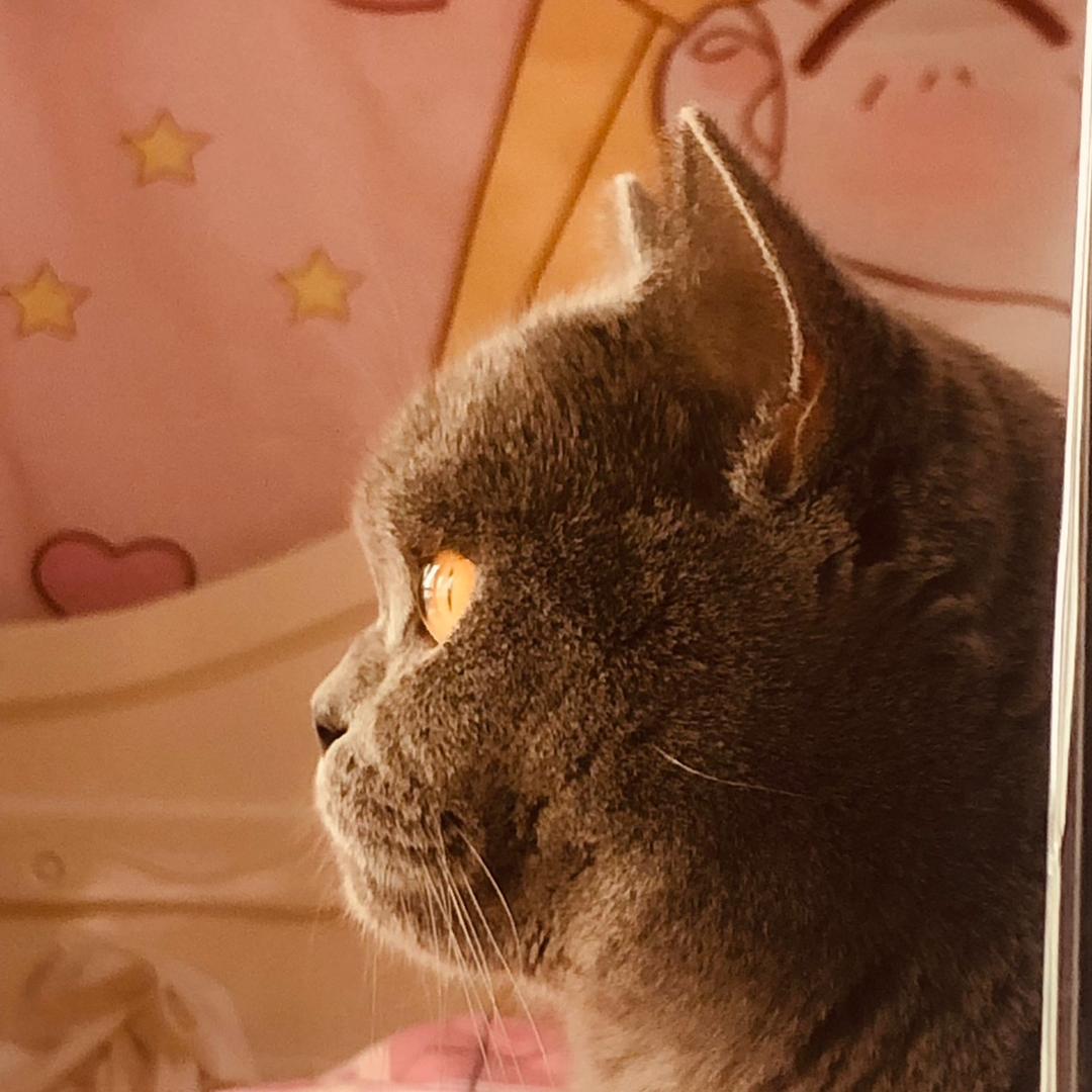 胖豆先生在隔壁