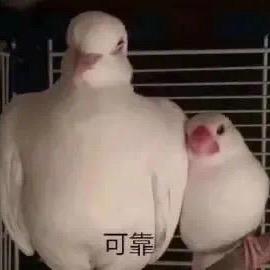 记得你叫我王老八