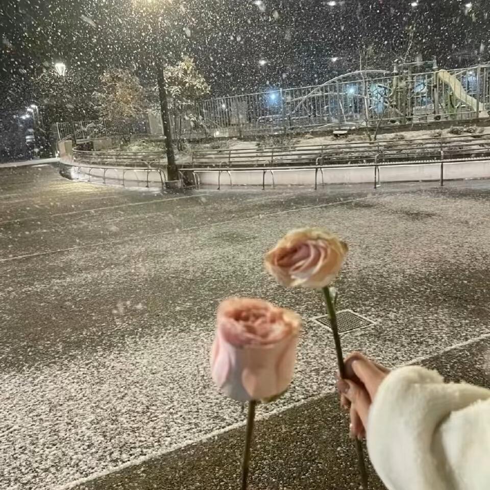 玉玉数码优选