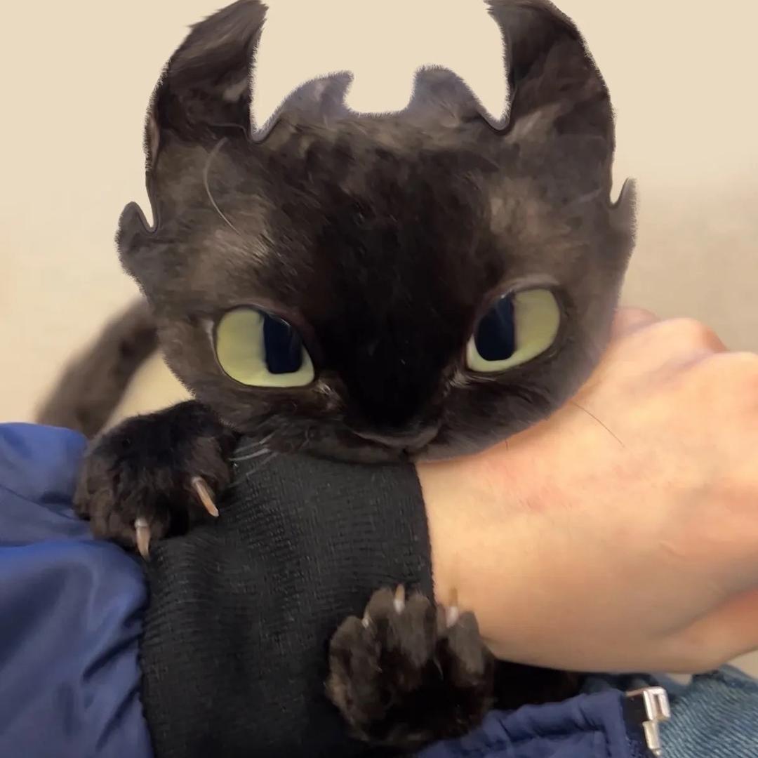 魏魏魏