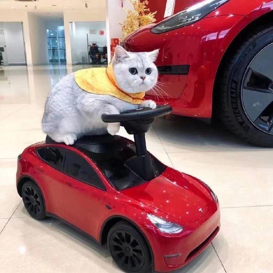开电车的李咩咩