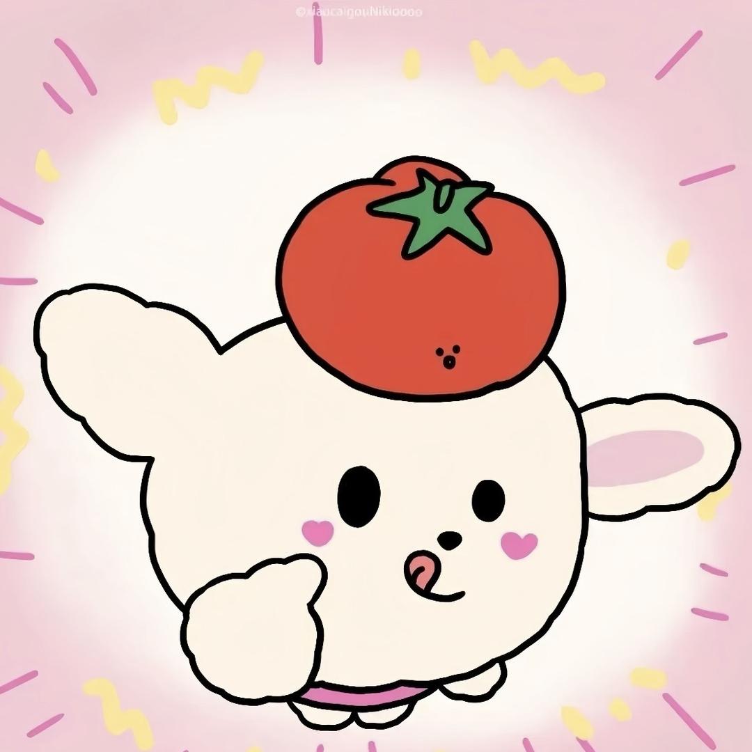 鸽子服饰（平价版）