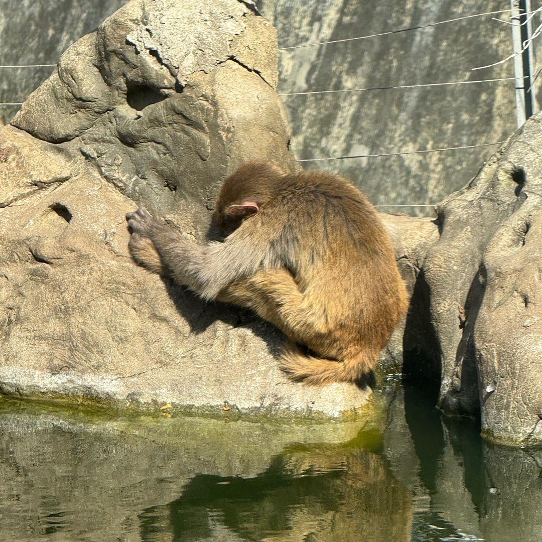 闫掌门