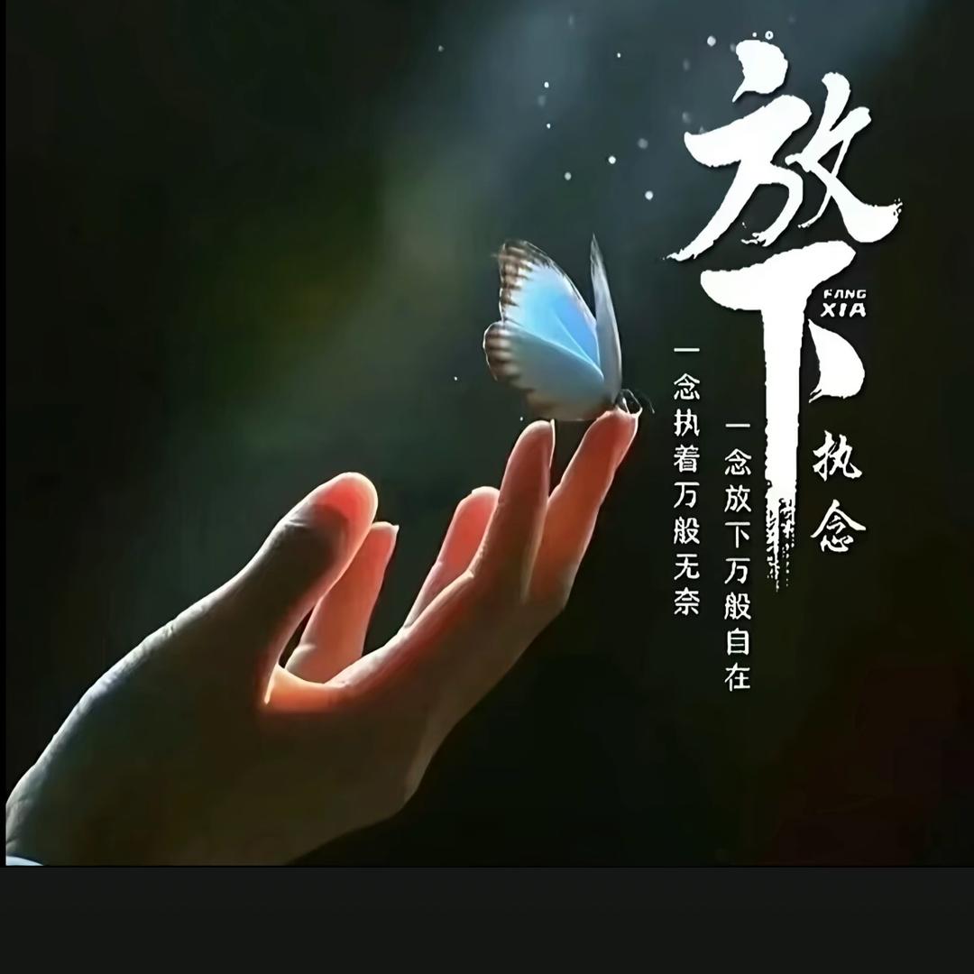 酷胖国际收东南亚cod本土虾皮