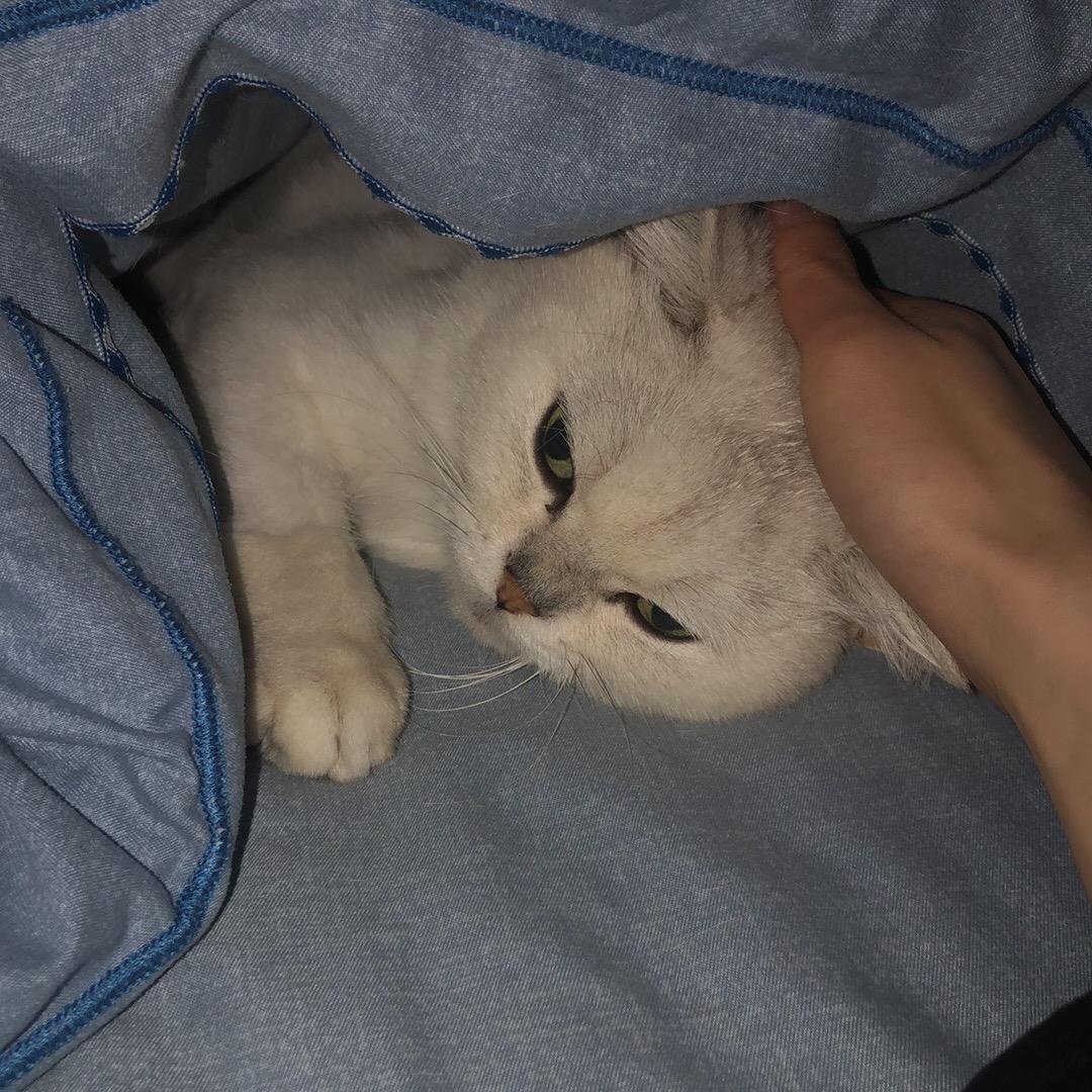 亦宸