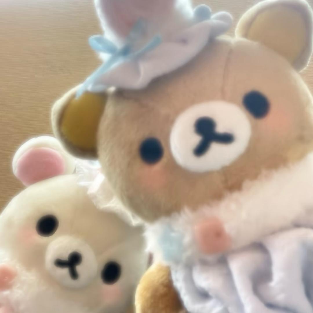 爱睡觉😪