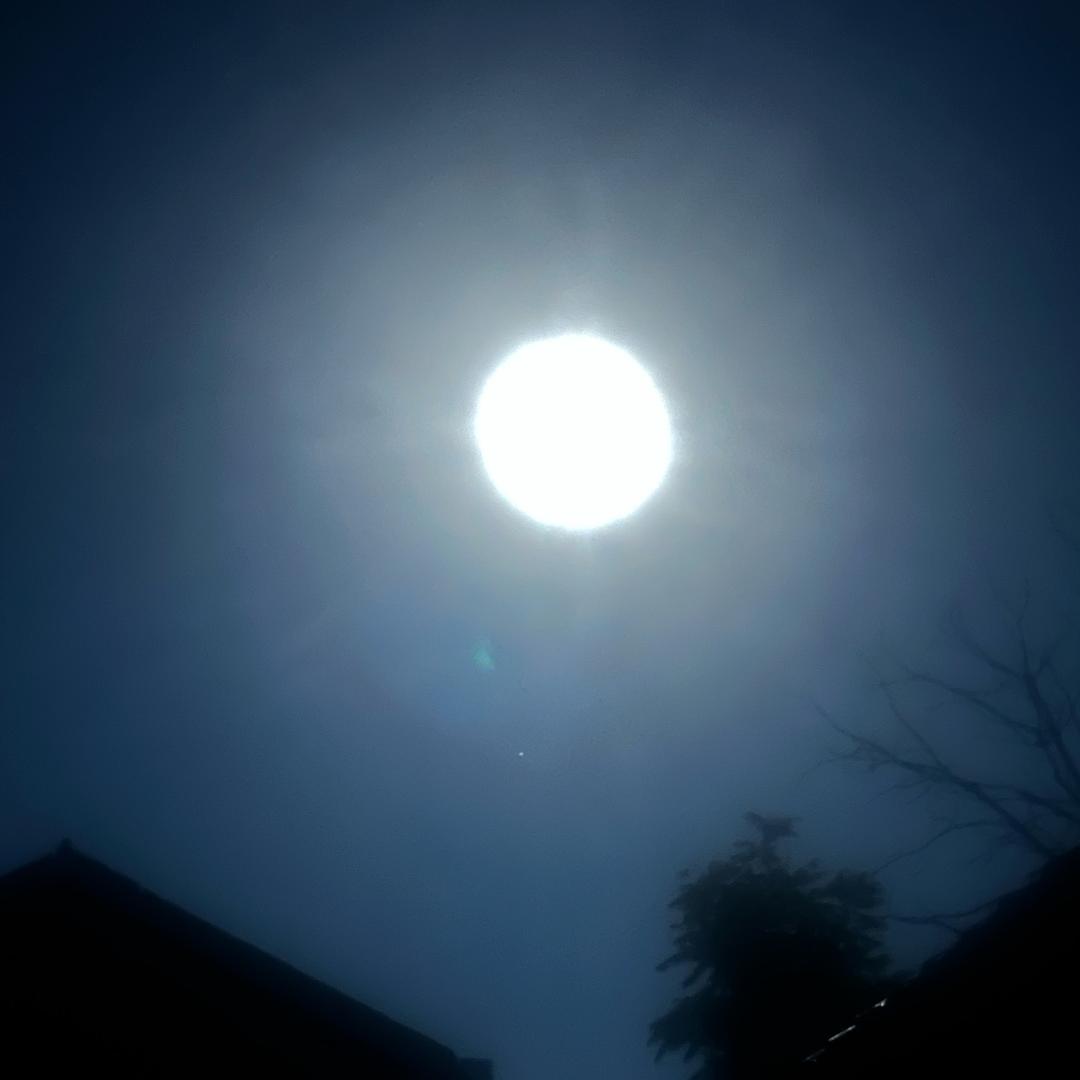 心太软