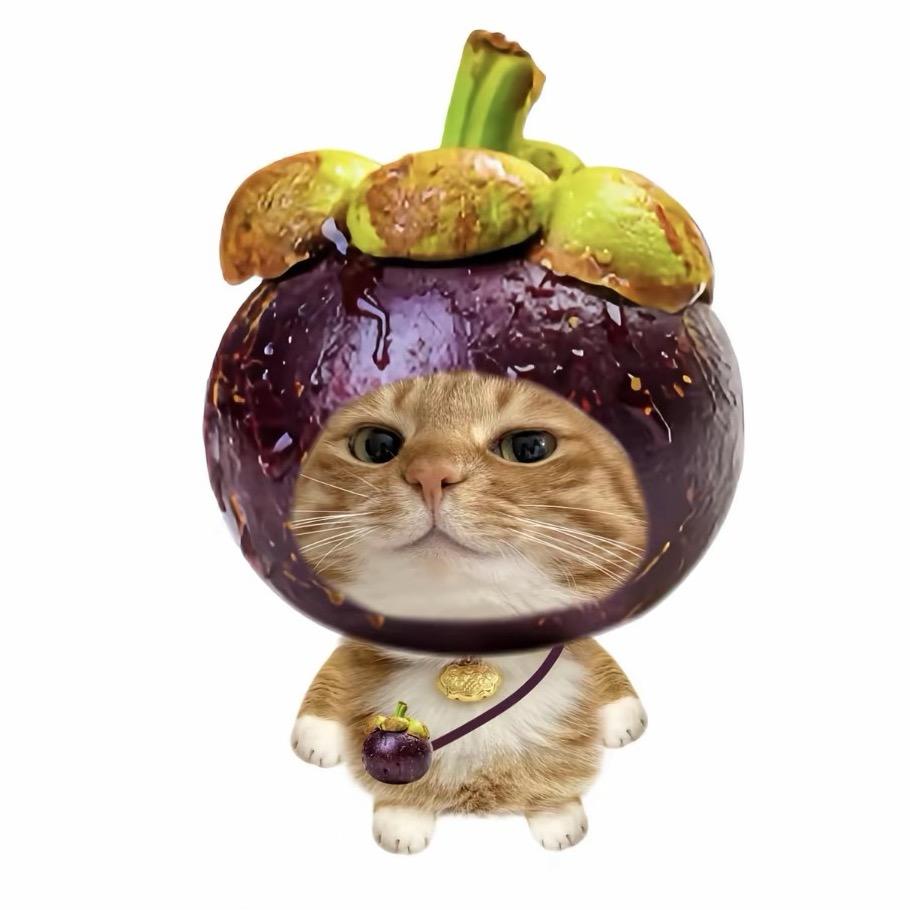 簧瓜鱼