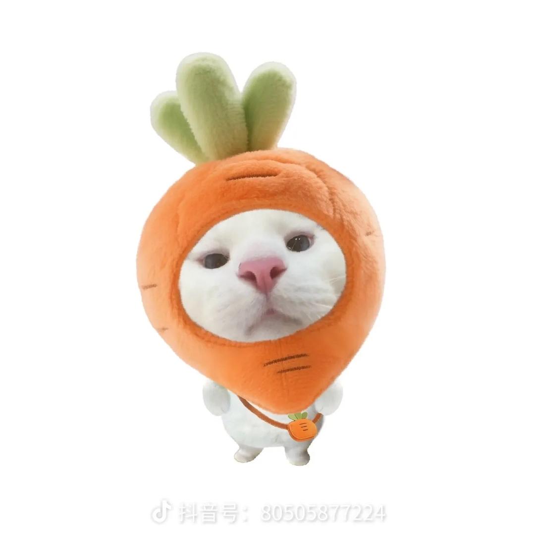不愛怂