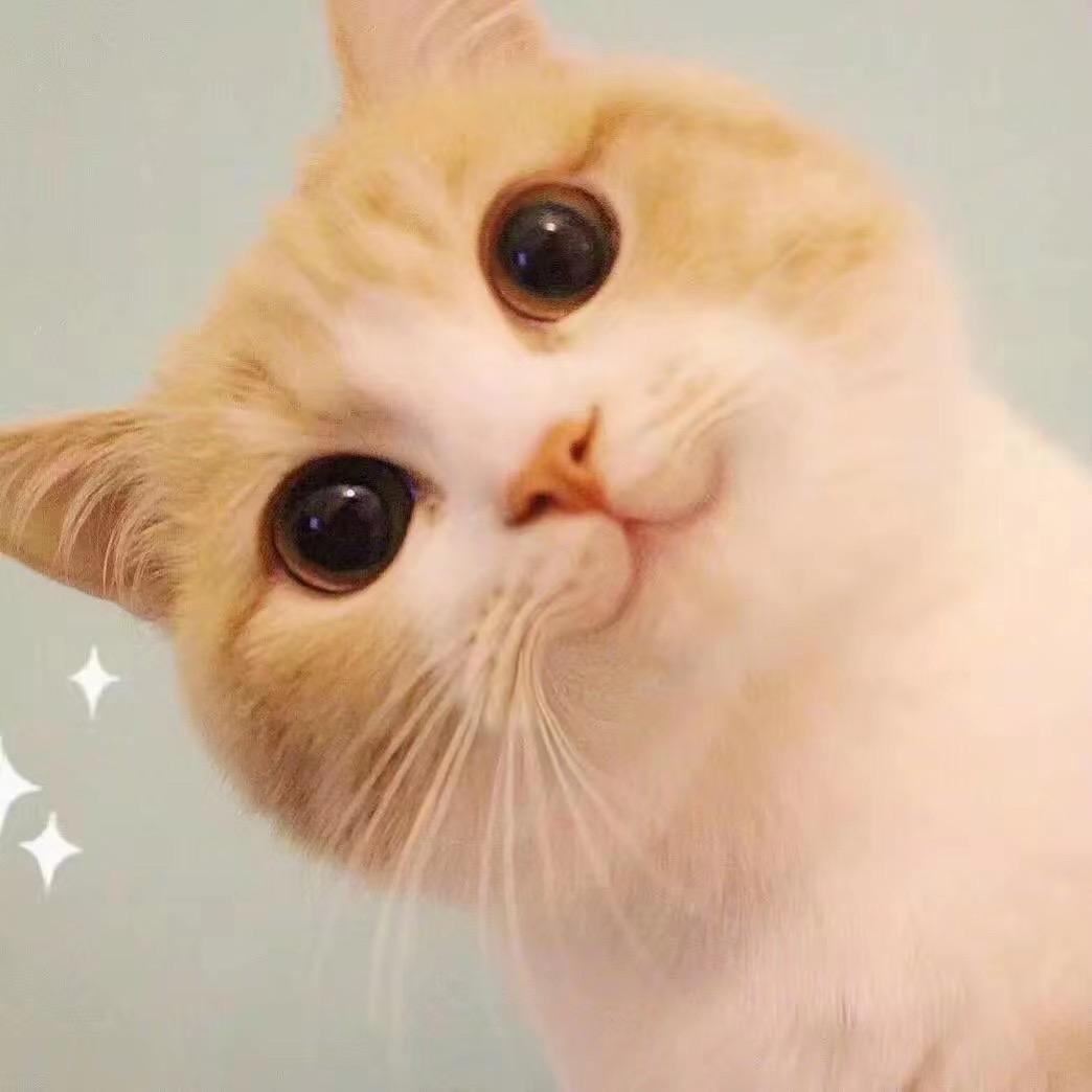 小团团呀