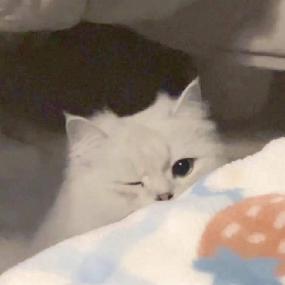 等你下课