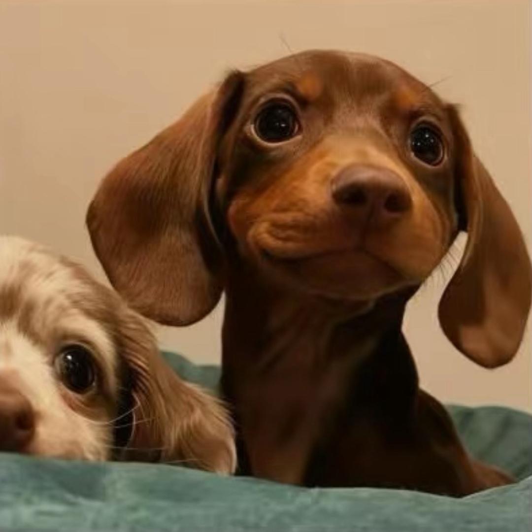 下次看海约在哪