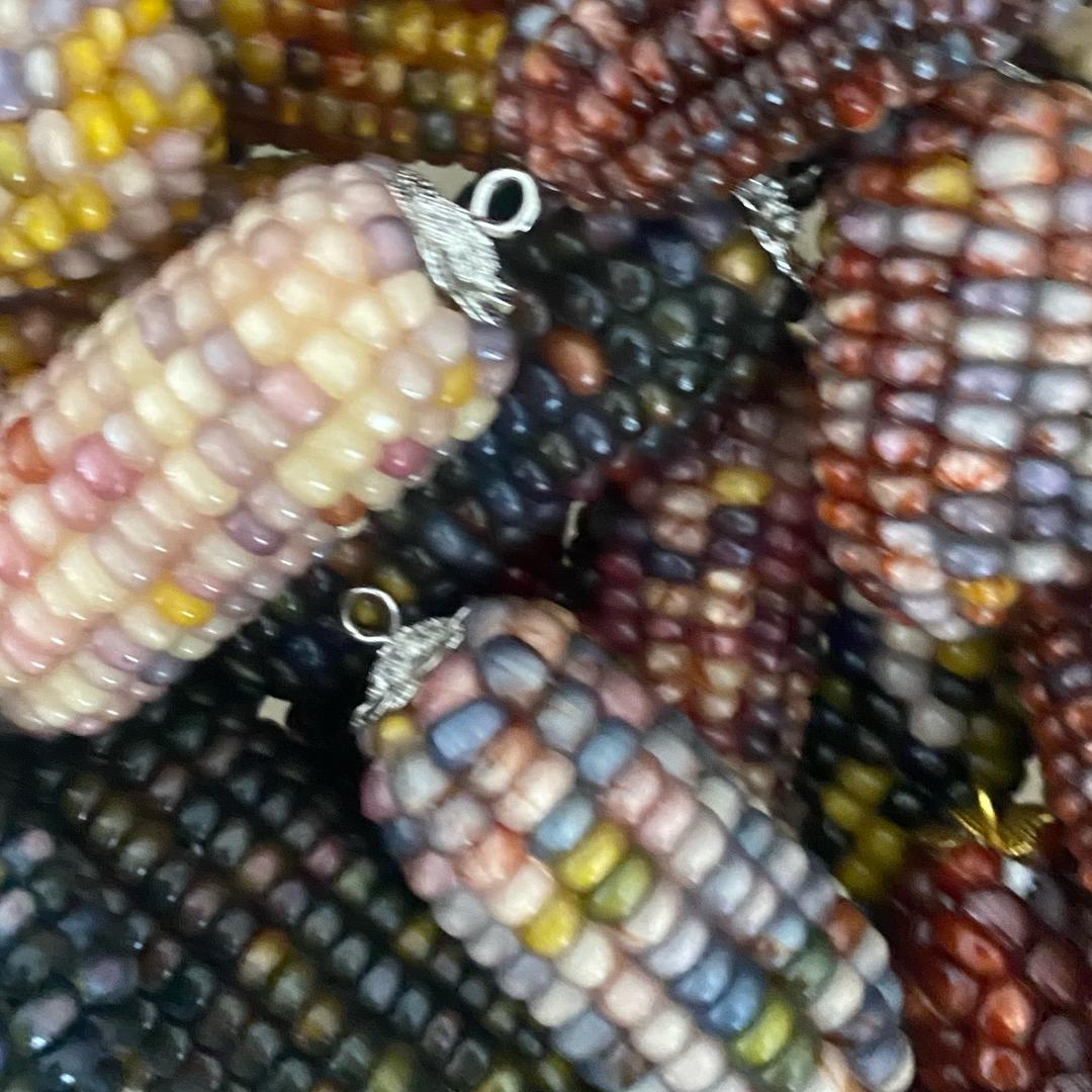 玉隆玉米