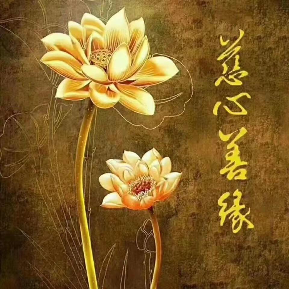 梵行圆-🔥善门开