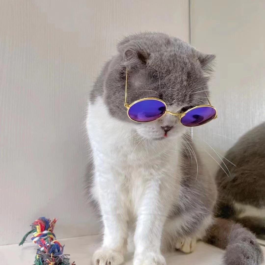 🌈野鸥猜