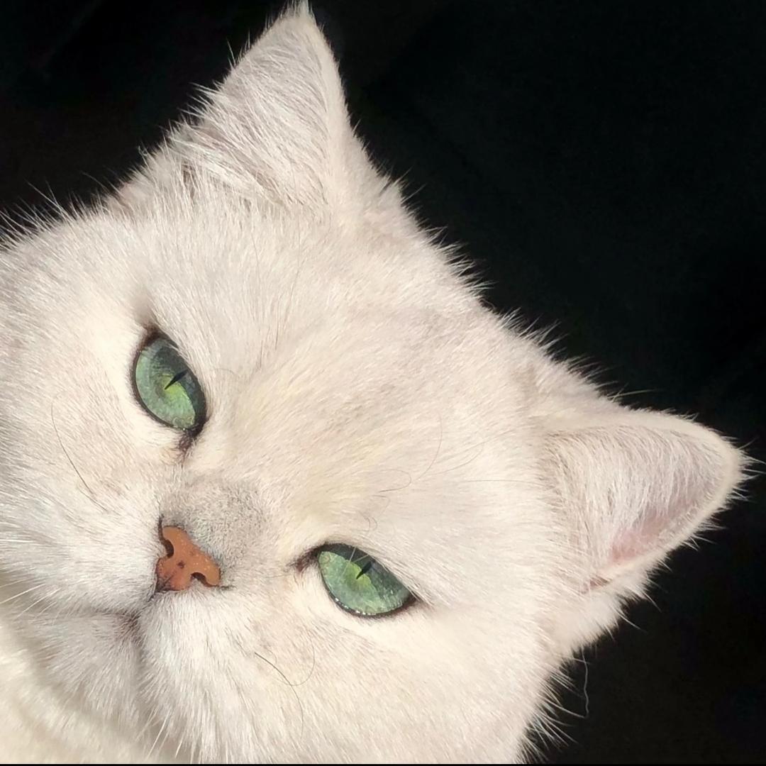 一半七