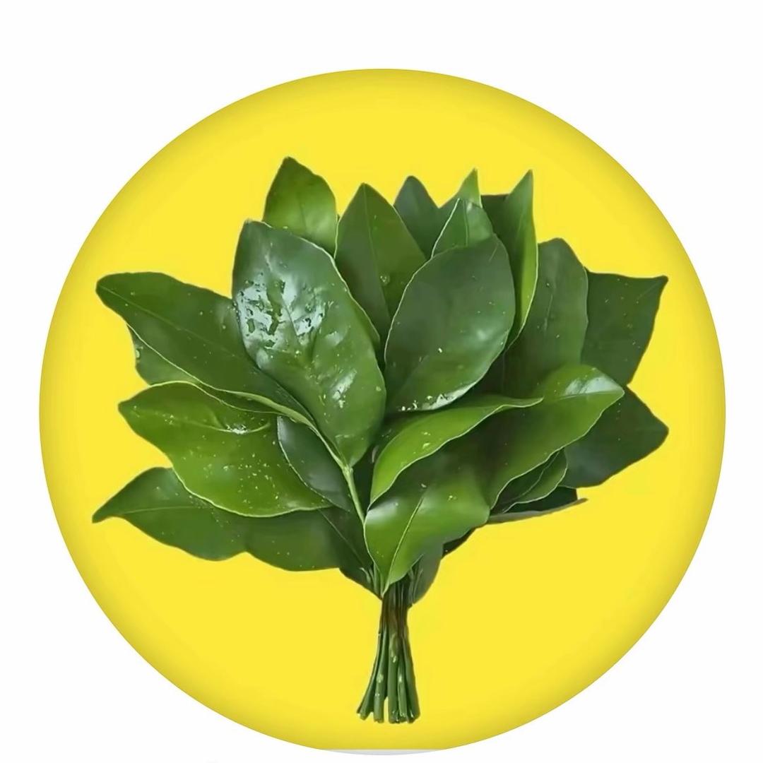 我不是小刘