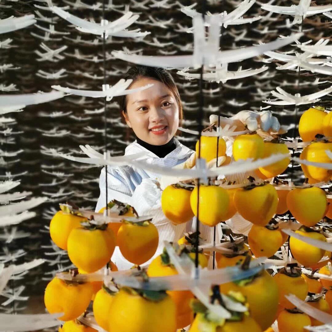 杜先生富平柿饼