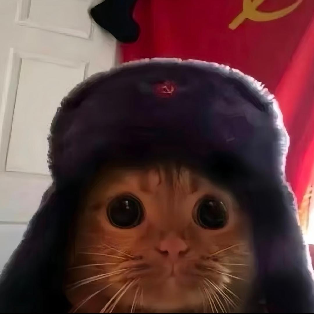 烫头小丸子