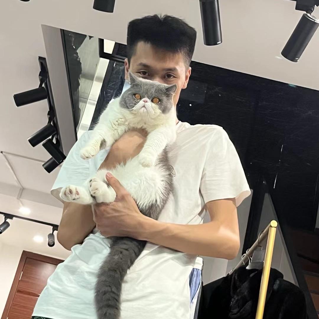 佛山老马爱猫