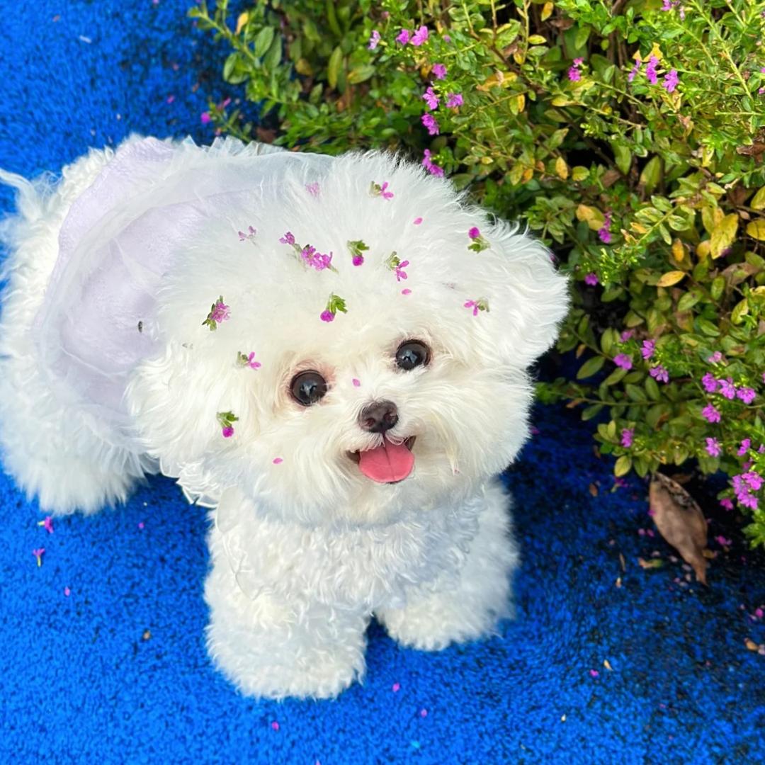 我再也不说话了