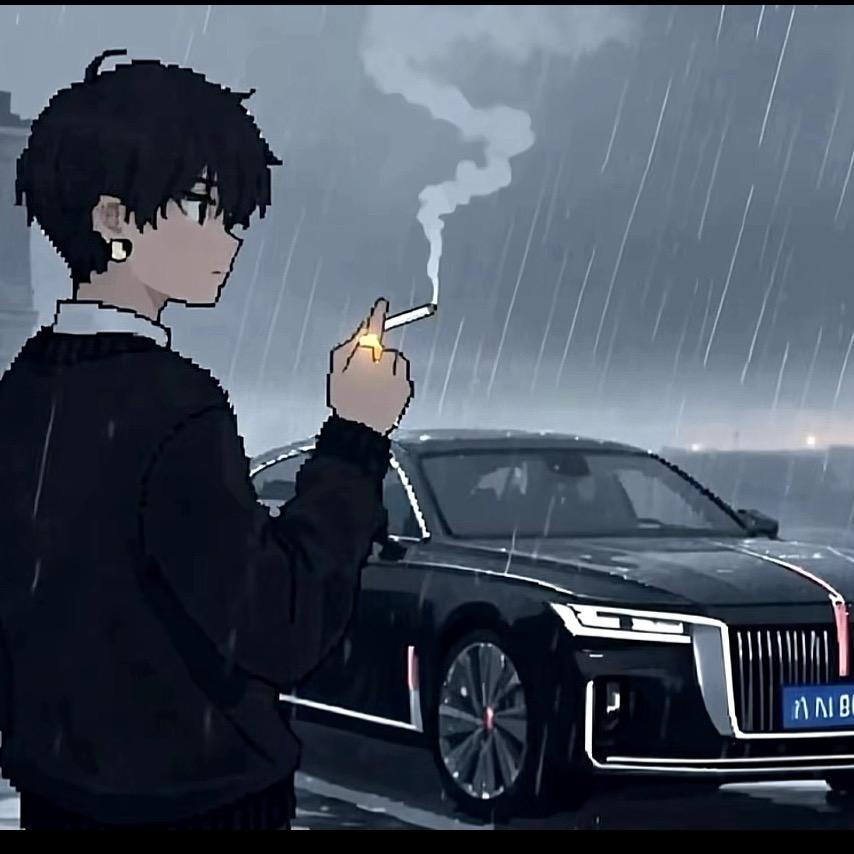 憶氣·風豹💤