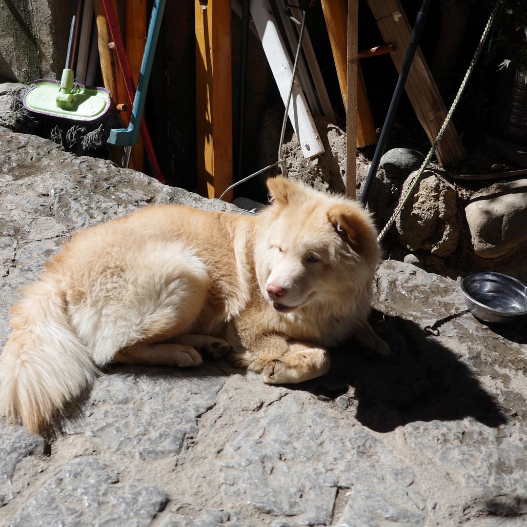 嗯嗯😶‍🌫️