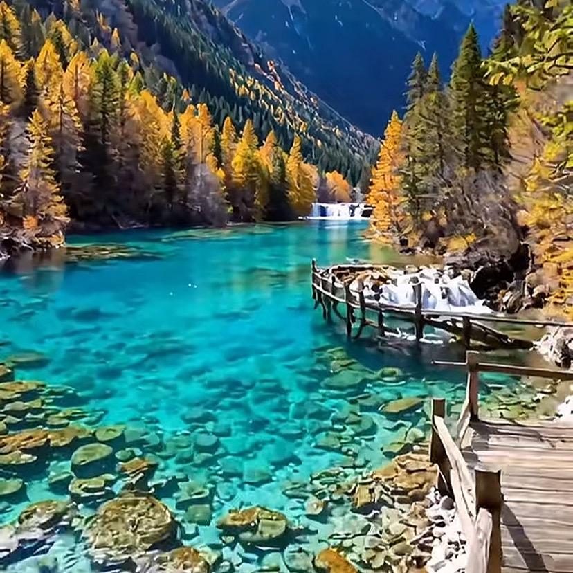 ❄️❄️星🌟辰时空