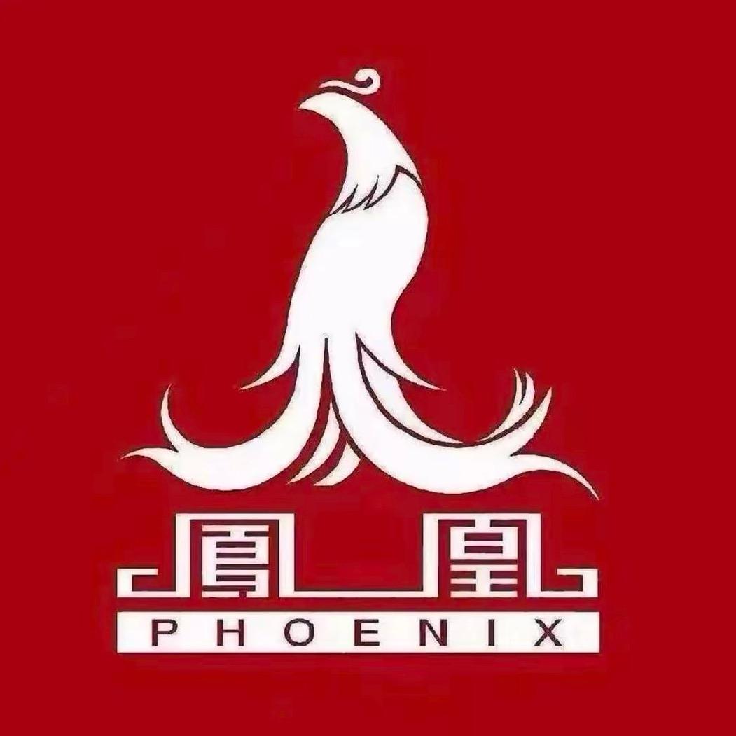 凤凰新款电动车（珍）