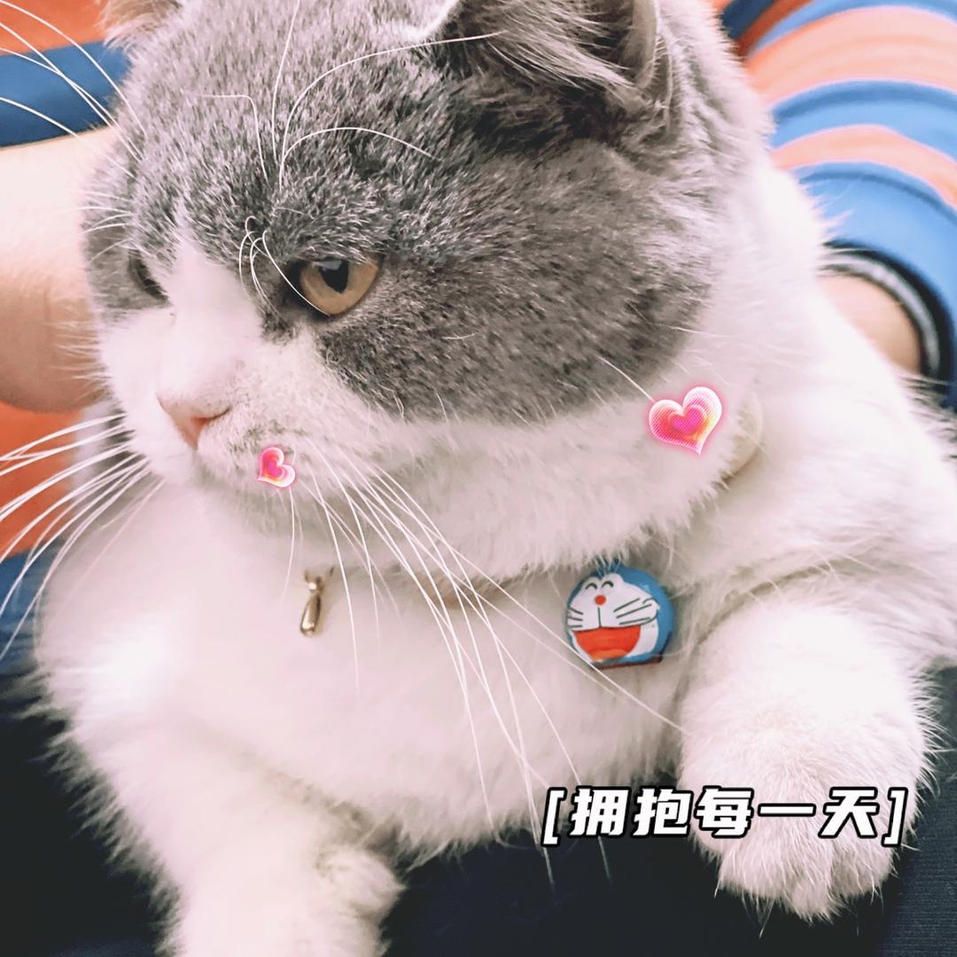 峰枫呐