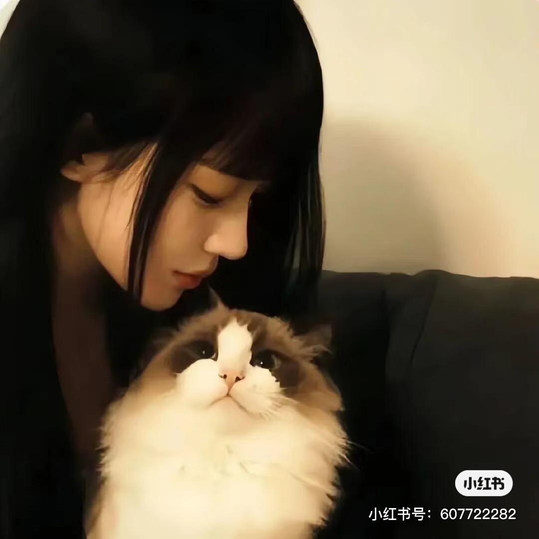 ✨看¹次婚纱