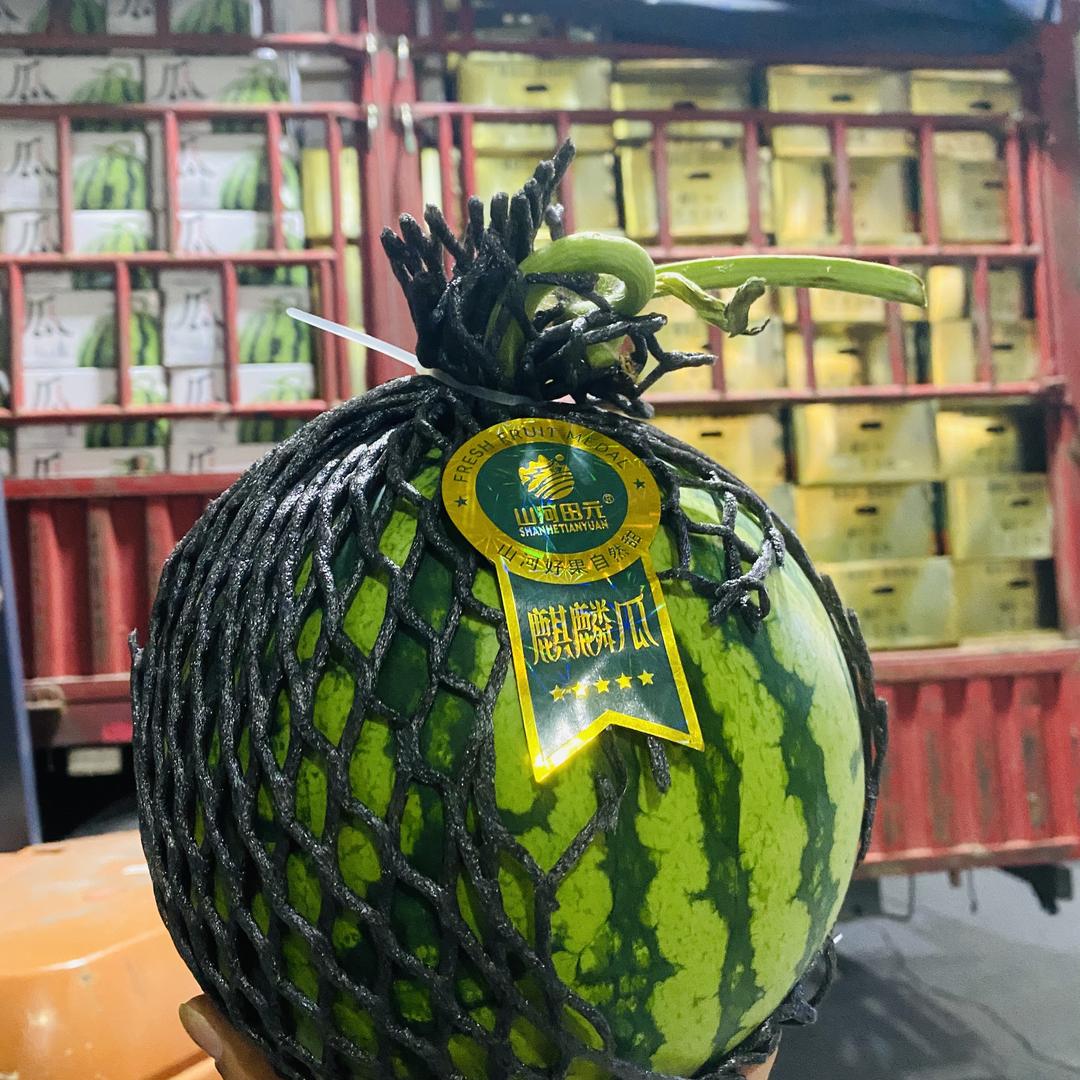 贺星