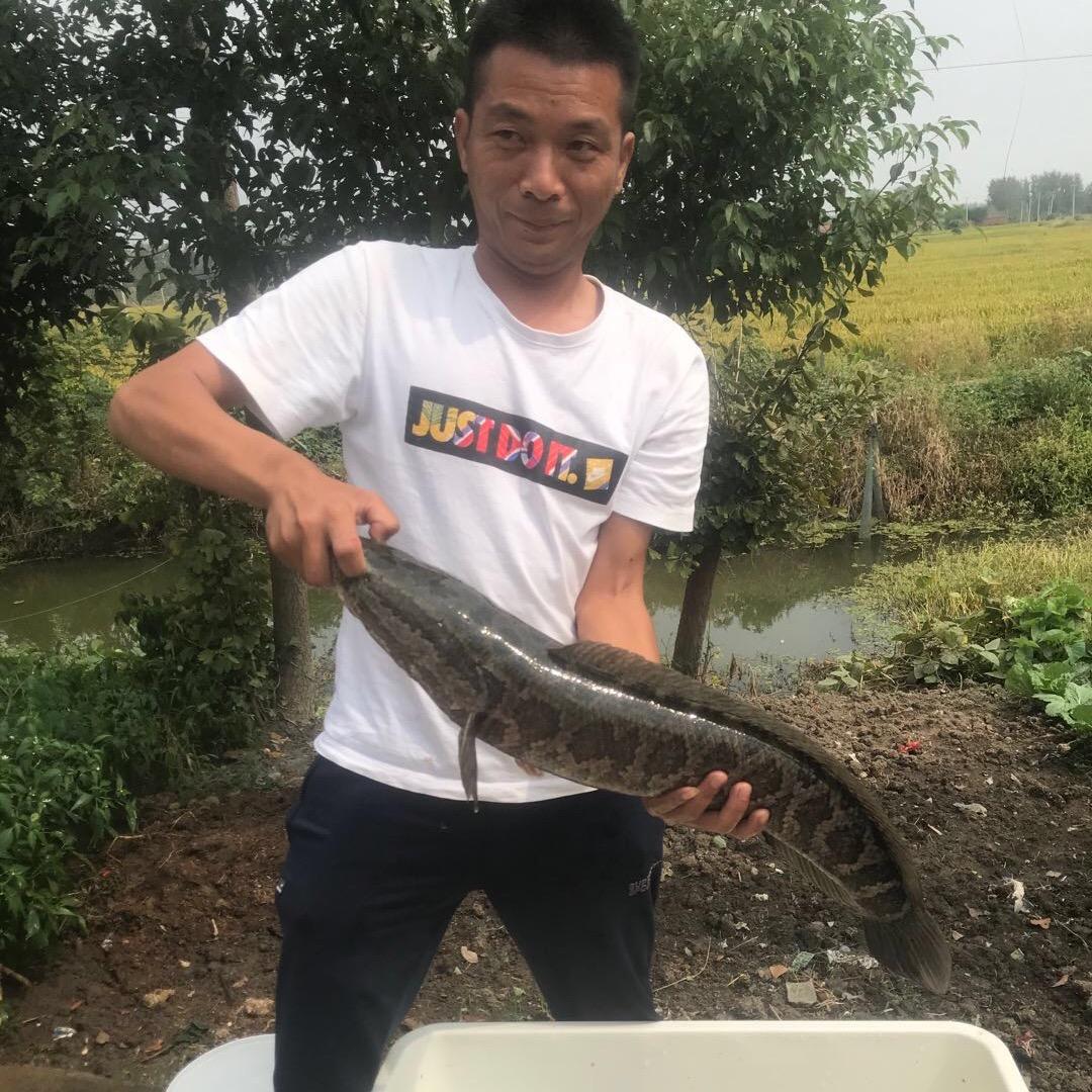 钓黑鱼小王（父子俩）