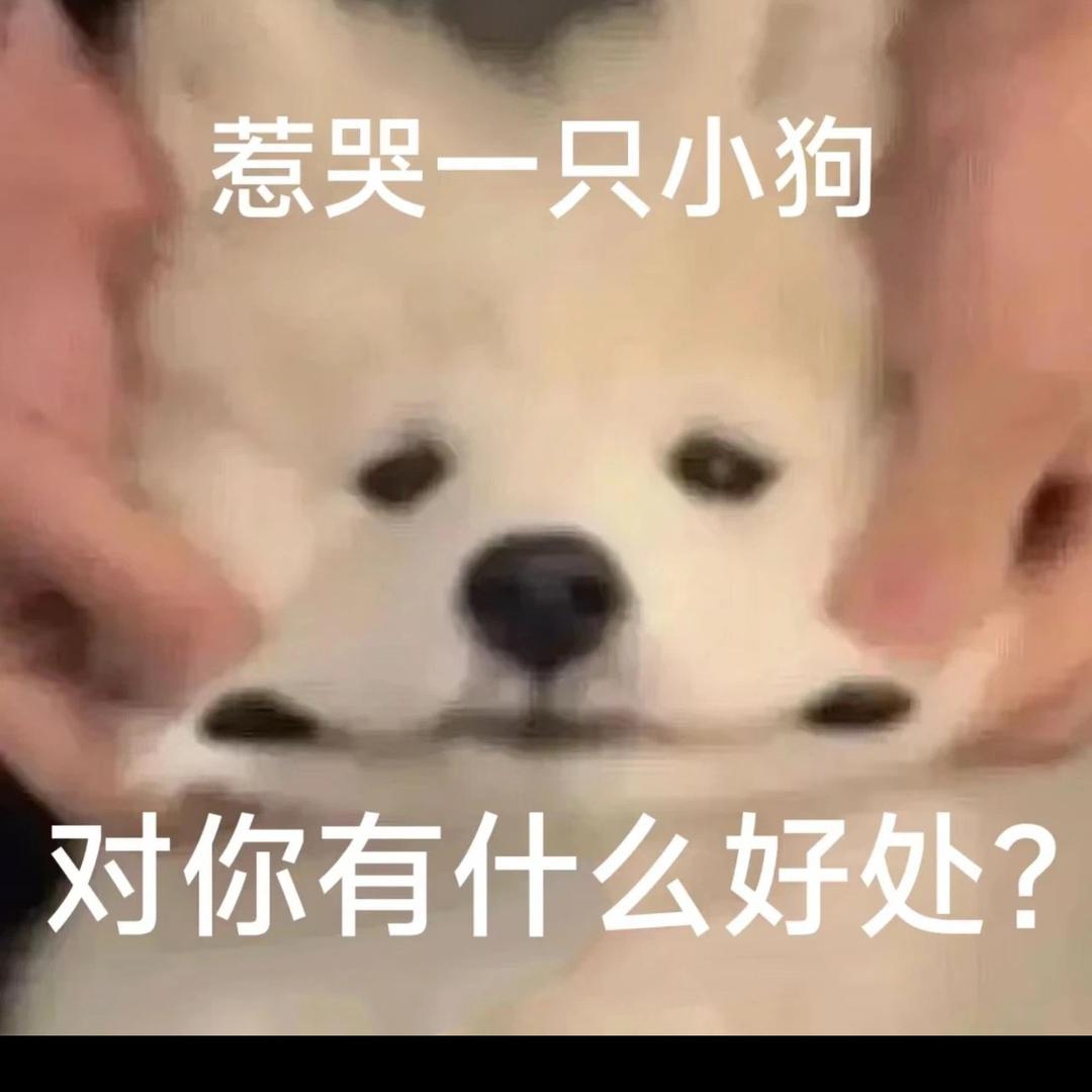 透明鱼干