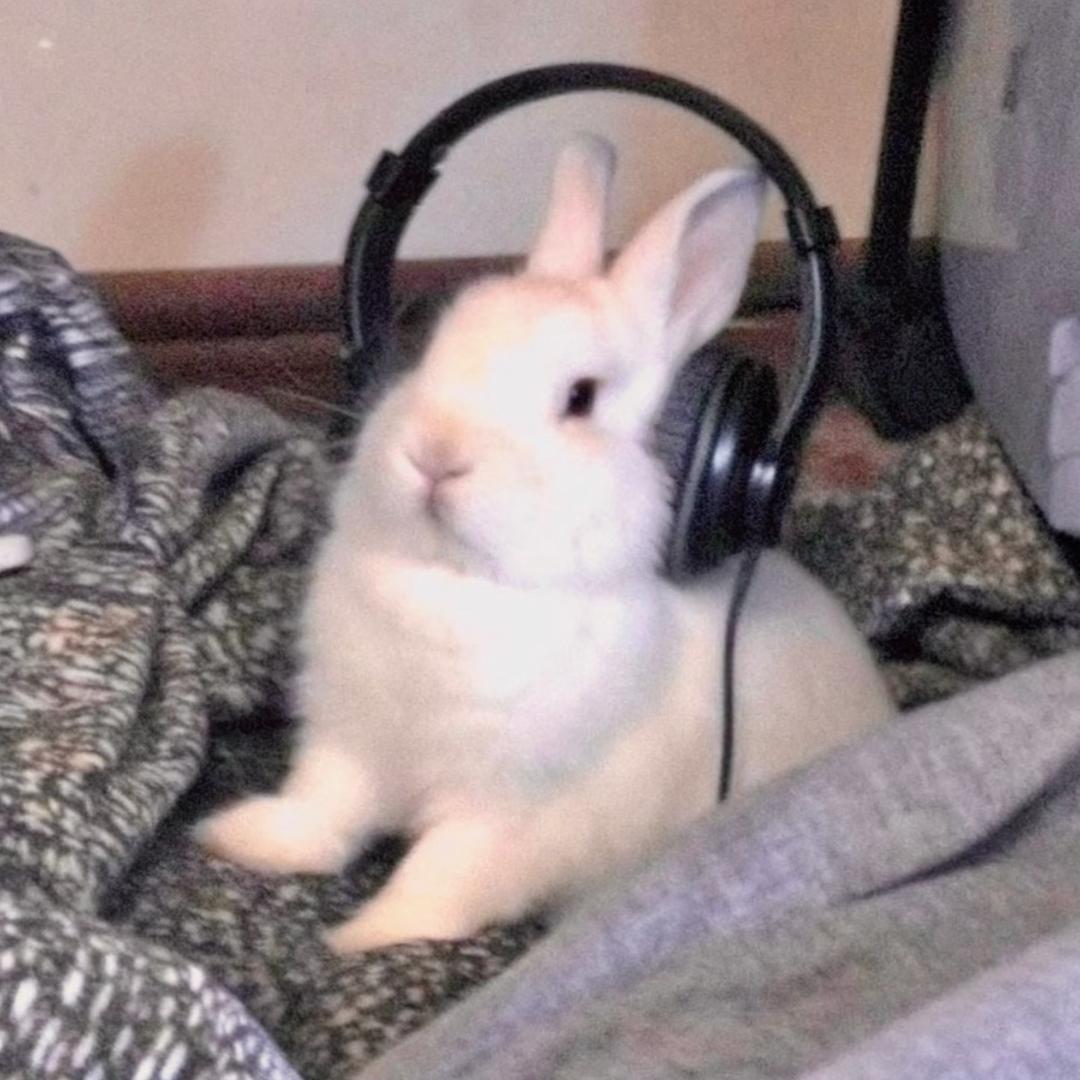 葡萄糖酸锌口服溶液