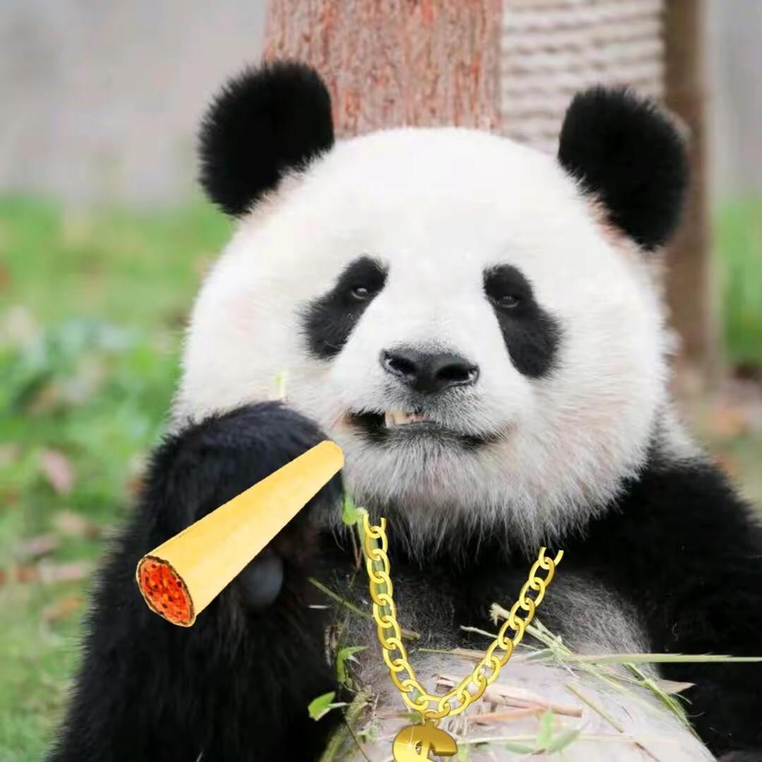 智贤师傅