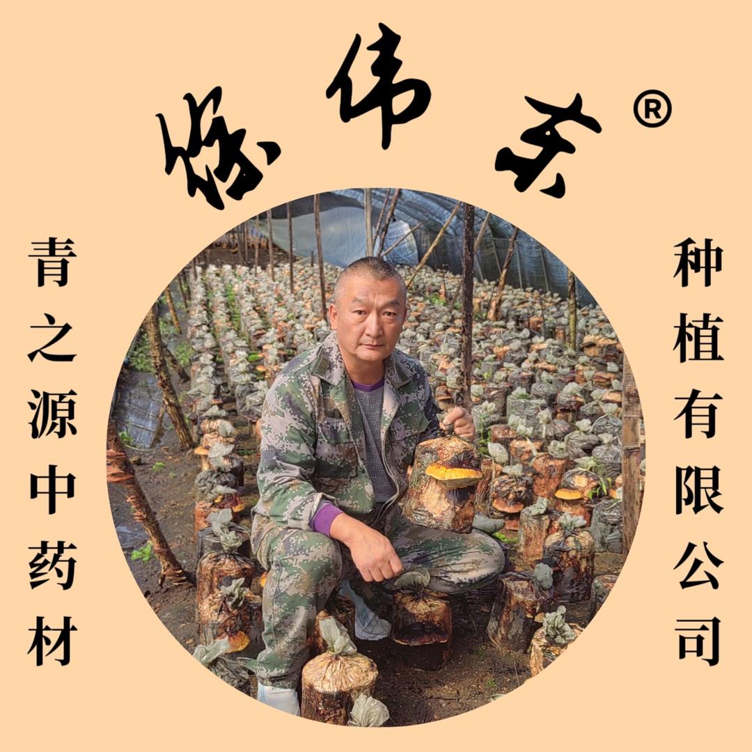 吉林省青之源中药材种植有限公司企业店