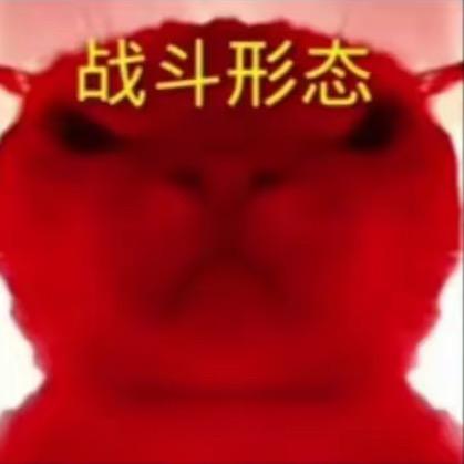 哈基咪南北绿豆