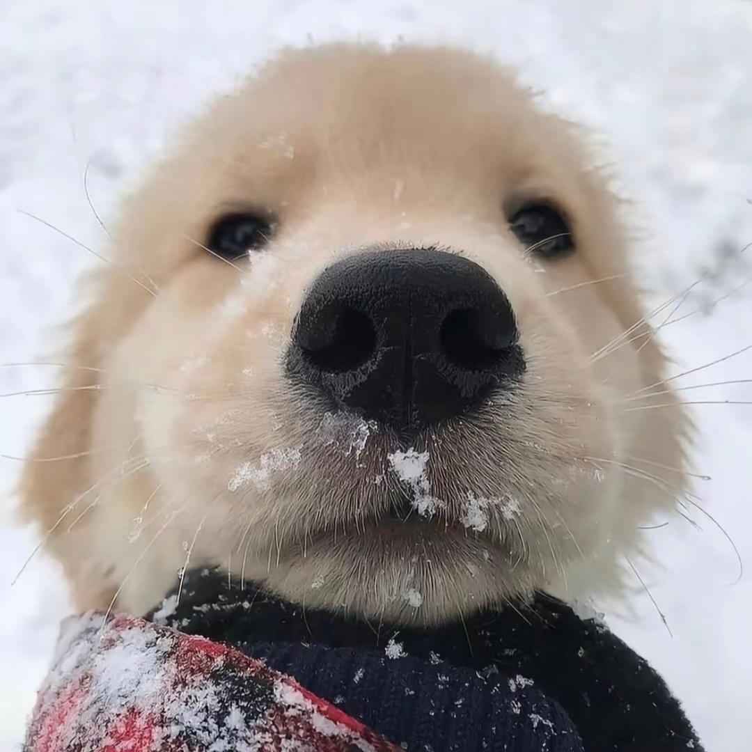 🌈超帅黑暗骑士