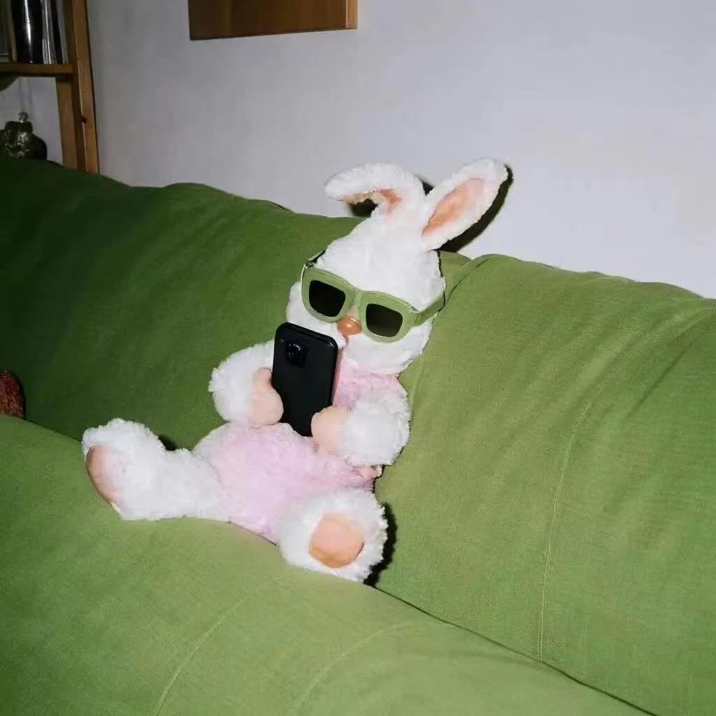 爱玩抖音的美女王