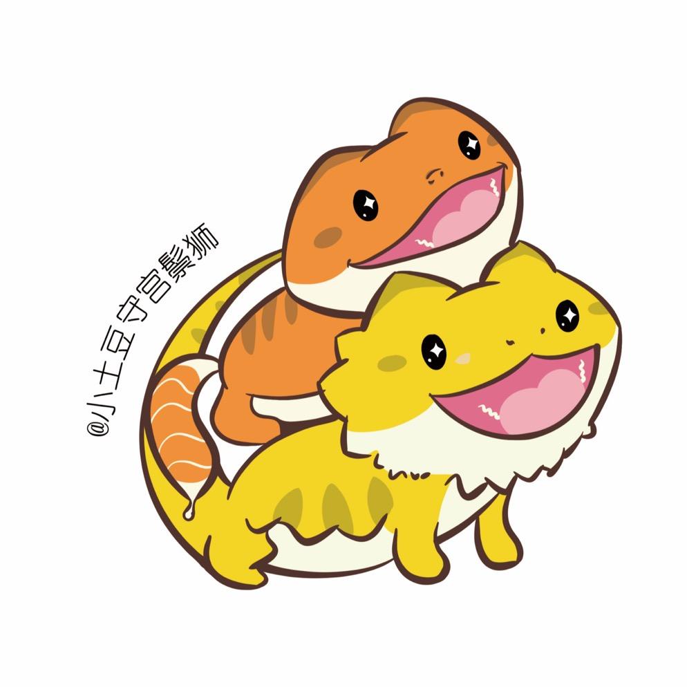 小土豆家爬宠潮玩小铺
