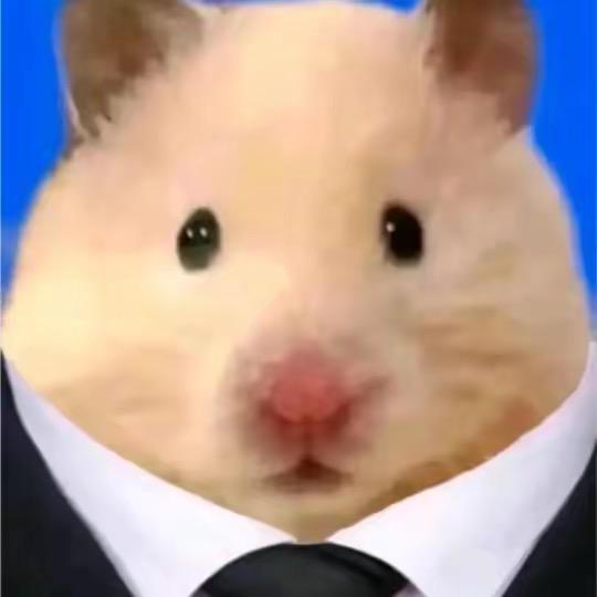 扑泪（守望先锋）