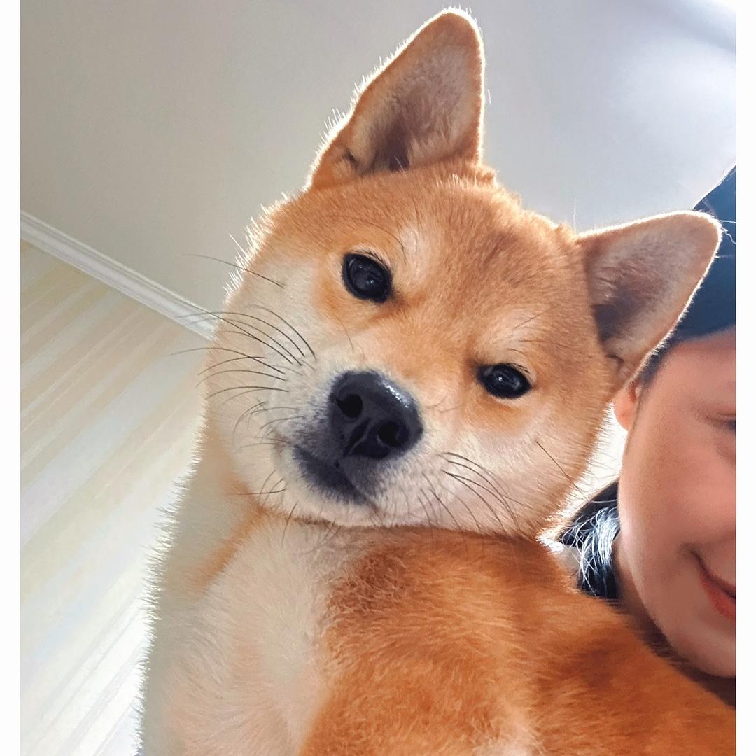 小柴张志强