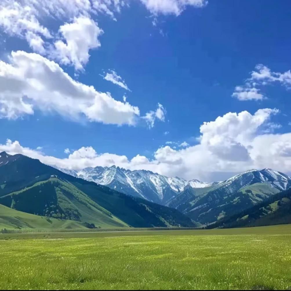 小元（专业洗油烟机，黑锅底）