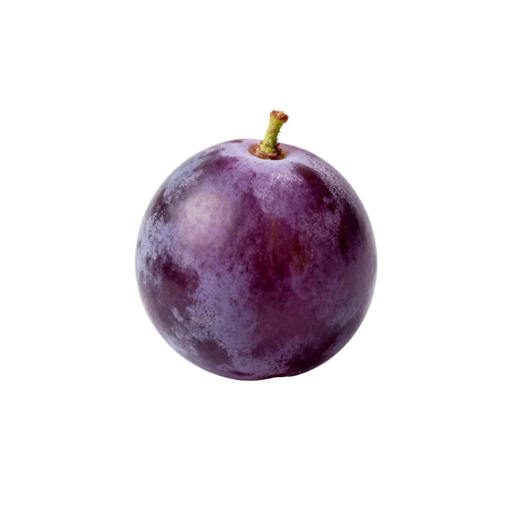 道枝桑桑