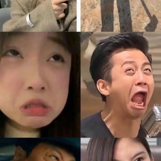 哈哈啊哈哈哈