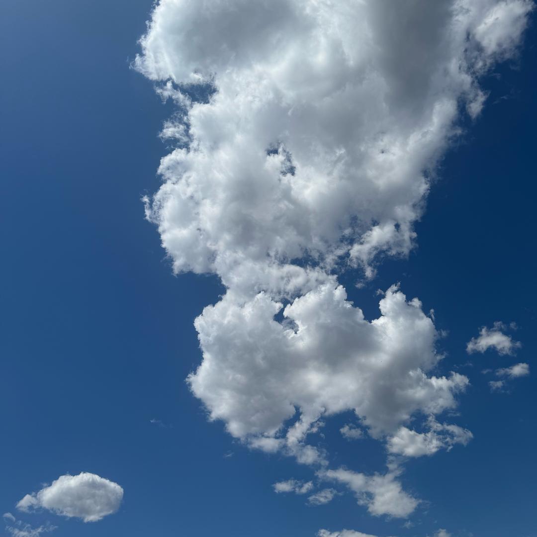 d d d d l l l l