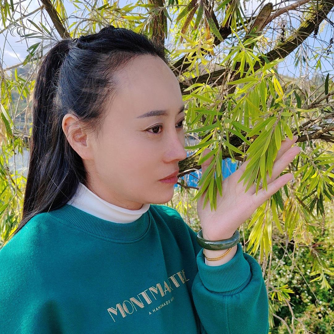 森林菲燕
