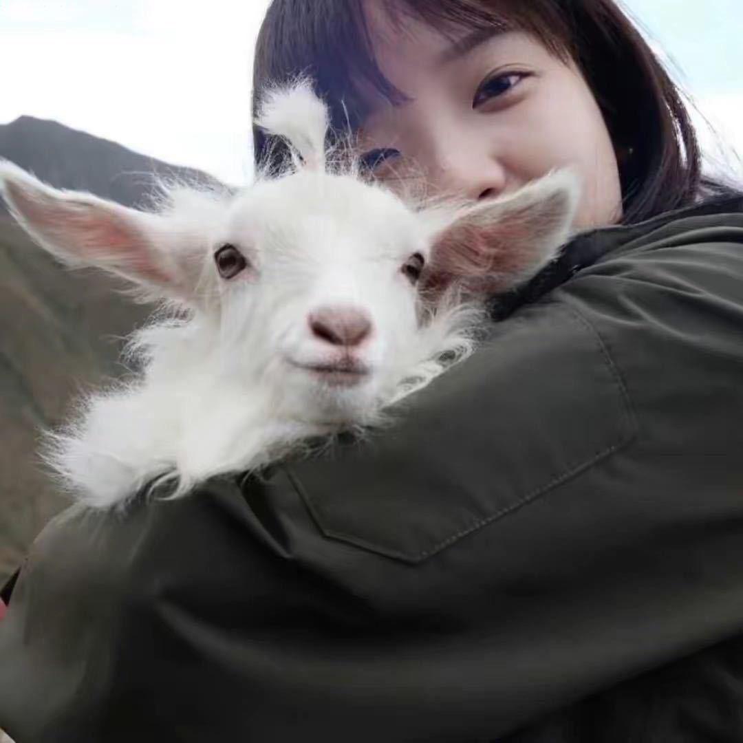 ZHANGLI·🌰