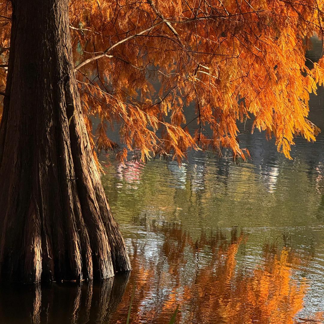 房多多租房 (钱多多版)